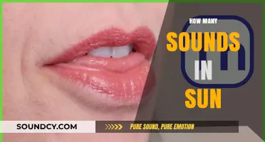 Unraveling the Phonetic Mystery: How Many Sounds Does 'Sun' Contain?