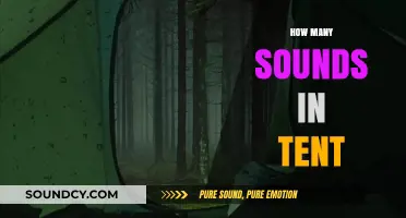 Exploring the Phonetic Breakdown of the Word 'Tent' and Its Sounds