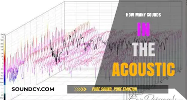 Exploring the Rich Spectrum of Sounds in Acoustic Environments
