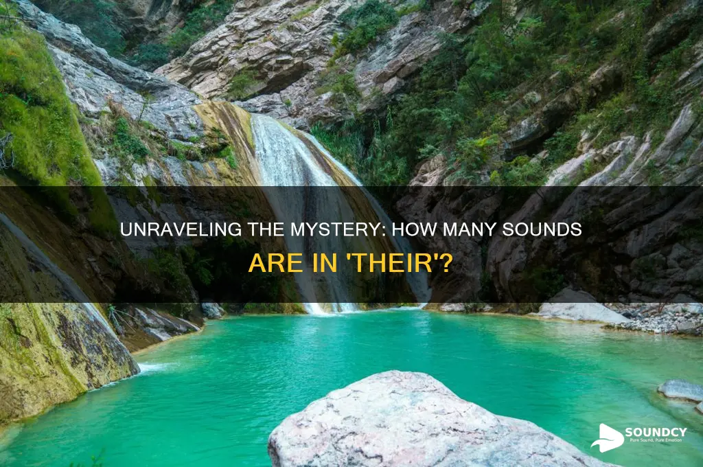 how many sounds in their