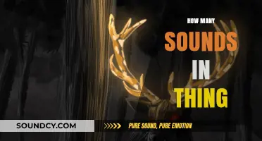 Exploring the Intricate Soundscape: How Many Sounds Are in 'Thing'?