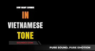 Exploring the Rich Phonetics of Vietnamese Tones and Sounds
