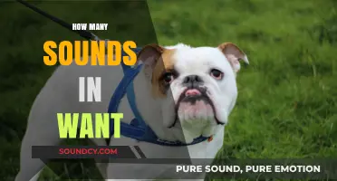 Unraveling the Phonetic Mystery: How Many Sounds Are in 'Want'?