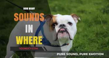 Exploring the Phonetic Breakdown of the Word 'Where' and Its Sounds