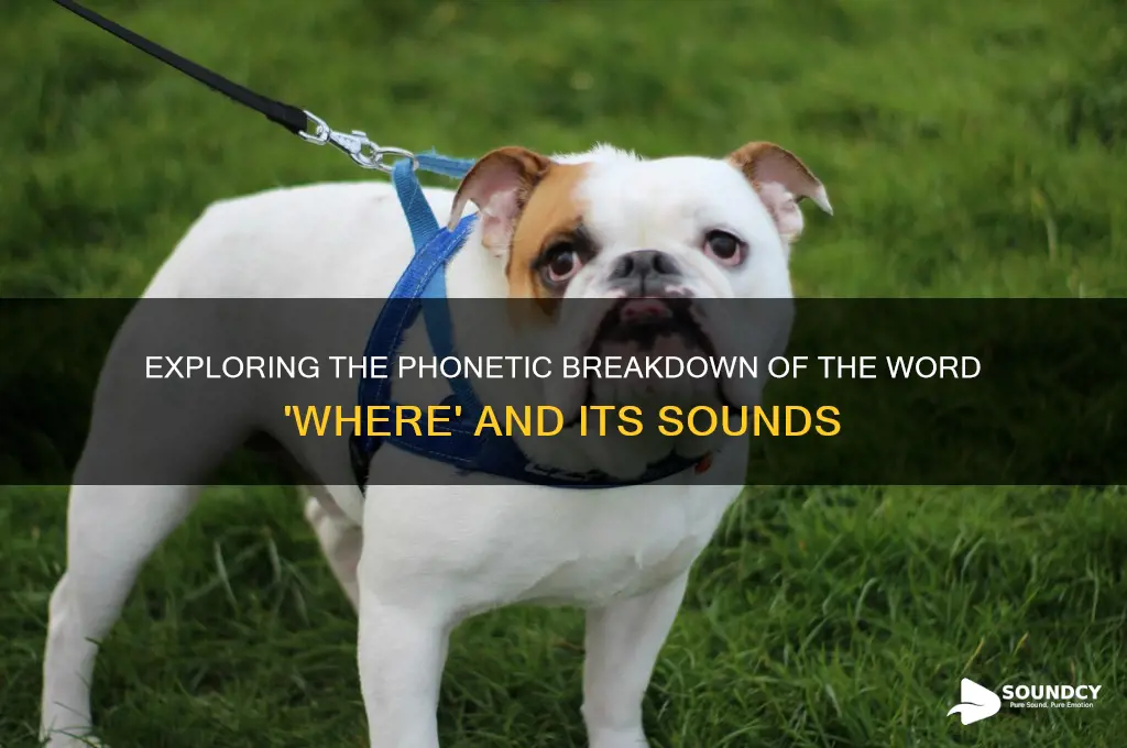 how many sounds in where