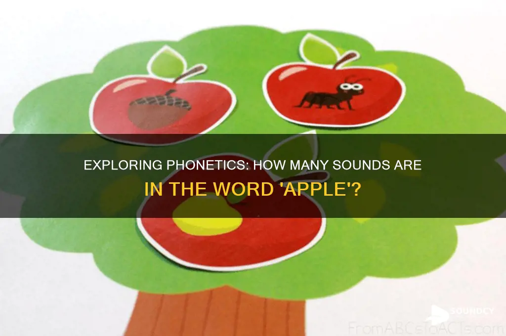 how many sounds in word apple