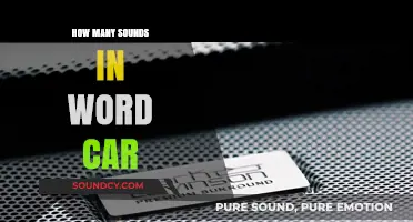 Exploring the Phonetic Breakdown: How Many Sounds Are in the Word 'Car'?