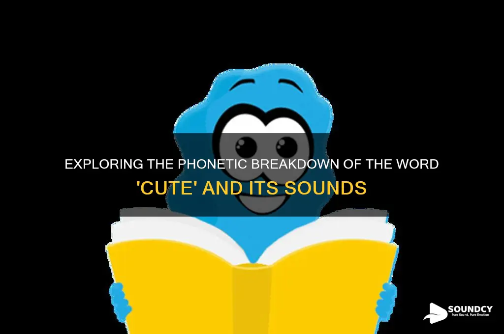 how many sounds in word cute