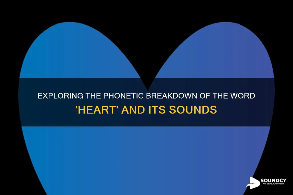 how many sounds in word heart