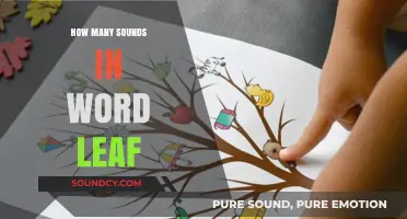 Exploring the Phonetic Breakdown of the Word 'Leaf' and Its Sounds