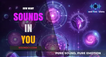 Exploring the Hidden Symphony: How Many Sounds Reside Within You?