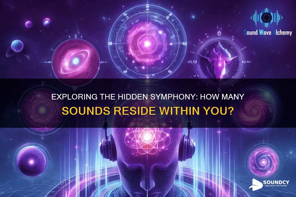 how many sounds in you