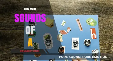 Exploring the Diverse Sounds of the Letter A in Language