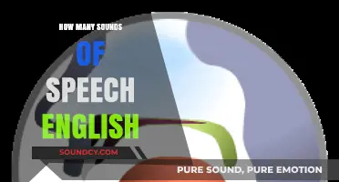 Exploring the Rich Variety of English Speech Sounds and Phonemes