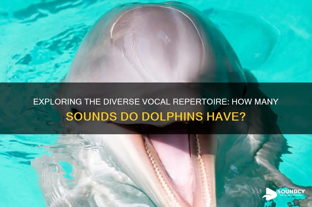 how many sounds to dolphins have