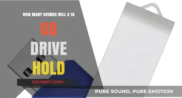 Maximizing Storage: How Many Sounds Fit on a 16GB Drive?