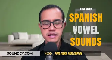 Exploring the Richness of Spanish Vowel Sounds: A Comprehensive Guide