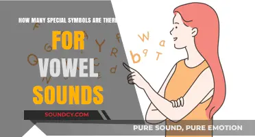 Exploring the Count of Special Symbols Representing Vowel Sounds in Language