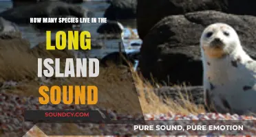 Exploring Long Island Sound's Biodiversity: Species Count and Conservation