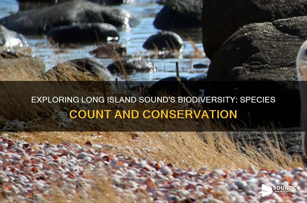 how many species live in the long island sound
