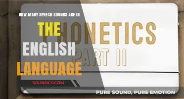 Exploring the Total Number of Speech Sounds in English Language Phonetics