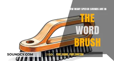 Exploring the Phonetic Breakdown of the Word Brush: How Many Speech Sounds Are There?