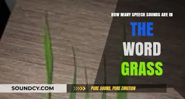 Exploring the Phonetic Breakdown of the Word 'Grass' and Its Speech Sounds