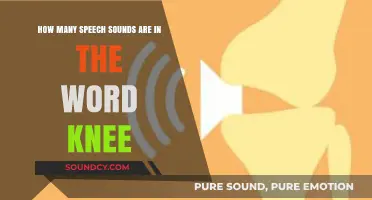 Unraveling the Phonetics: How Many Speech Sounds Are in 'Knee'?