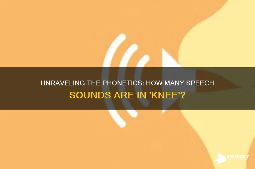 how many speech sounds are in the word knee