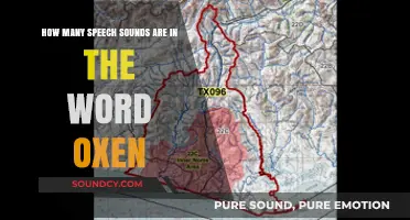 Exploring the Phonetic Breakdown of the Word 'Oxen' and Its Speech Sounds