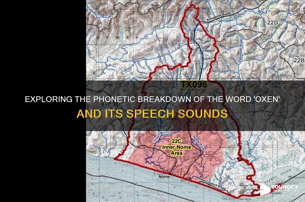 how many speech sounds are in the word oxen