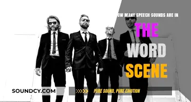 Exploring the Phonetic Breakdown of the Word 'Scene' and Its Speech Sounds
