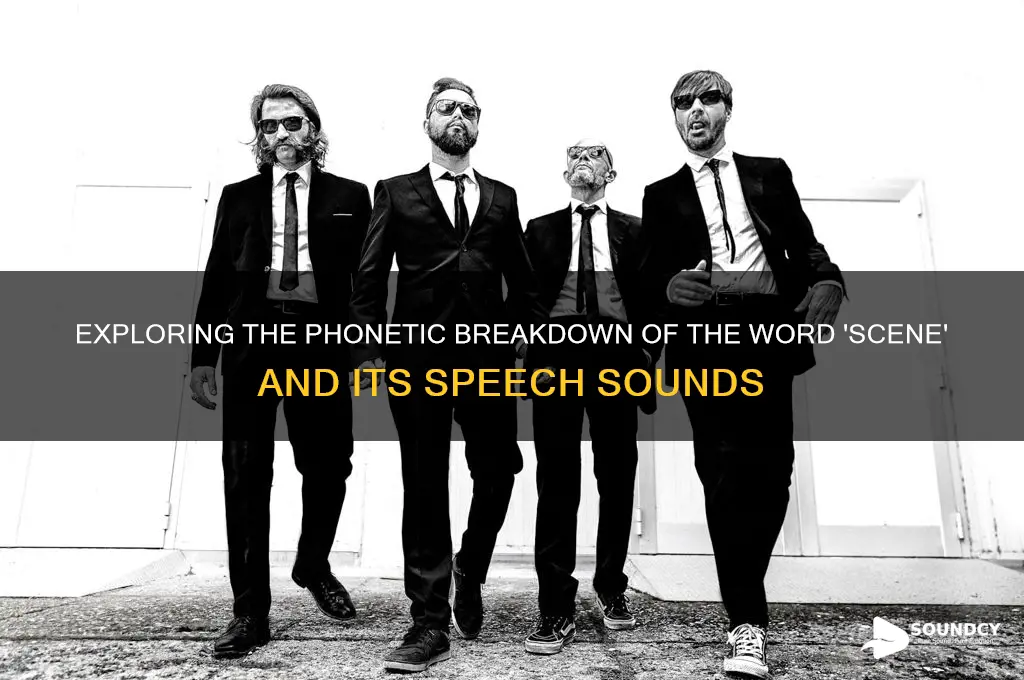 how many speech sounds are in the word scene