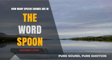 Exploring the Phonetic Breakdown of the Word 'Spoon' and Its Speech Sounds