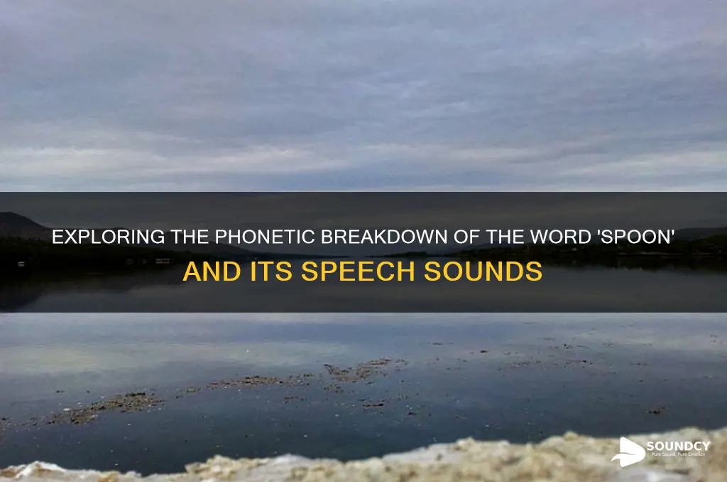how many speech sounds are in the word spoon