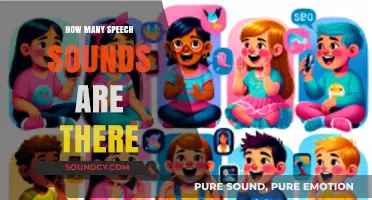 Exploring the Total Number of Speech Sounds in Human Language