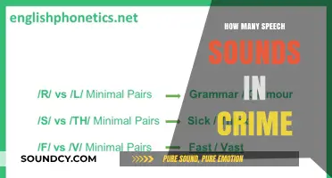 Unraveling the Phonetic Puzzle: Speech Sounds in the Word 'Crime