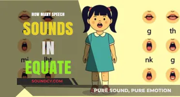 Exploring the Phonetic Breakdown of Speech Sounds in 'Equate