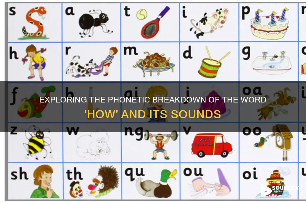 how many speech sounds in how