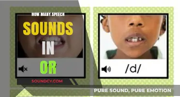 Exploring the Phonetic Inventory: How Many Speech Sounds in 'Or'?