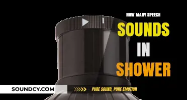 Exploring the Surprising Number of Speech Sounds Produced in the Shower