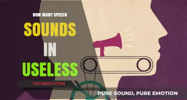 Unraveling the Phonetic Mystery: Speech Sounds in 'Useless' Explored