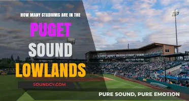Exploring the Number of Stadiums in Puget Sound Lowlands