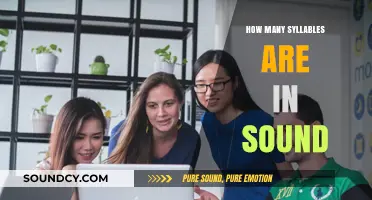 Exploring the Syllable Count in the Word 'Sound': A Linguistic Breakdown