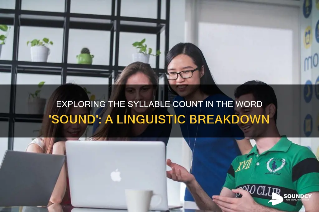 how many syllables are in sound