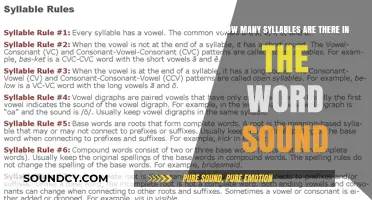 Unraveling the Syllable Mystery: How Many Beats Does 'Sound' Truly Hold?
