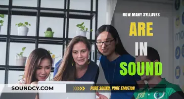 Exploring the Syllable Count in the Word 'Sound': A Linguistic Breakdown
