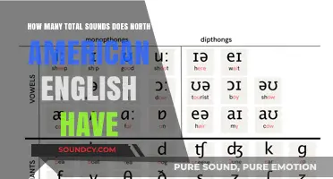 Exploring the Phonetic Diversity of North American English: Total Sounds Revealed