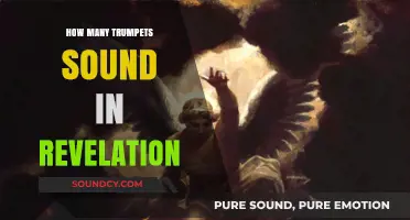 Trumpets Sounding in Revelation: How Many?