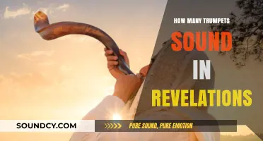 Trumpets of Revelation: Unveiling the Biblical Count and Meaning